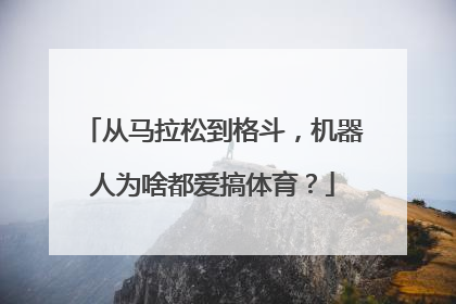 从马拉松到格斗，机器人为啥都爱搞体育？
