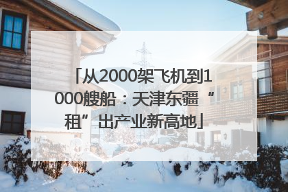 从2000架飞机到1000艘船：天津东疆“租”出产业新高地