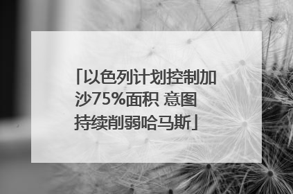 以色列计划控制加沙75%面积 意图持续削弱哈马斯