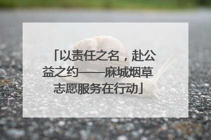 以责任之名，赴公益之约——麻城烟草志愿服务在行动