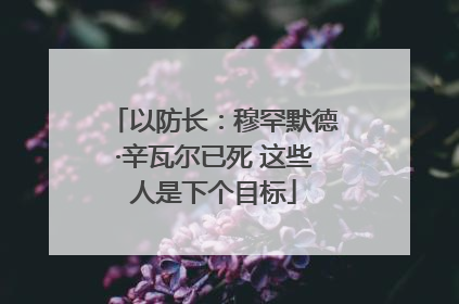 以防长：穆罕默德·辛瓦尔已死 这些人是下个目标