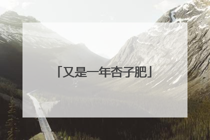 又是一年杏子肥