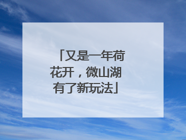 又是一年荷花开，微山湖有了新玩法