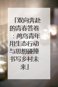 双向奔赴的青春答卷：鸬鸟青年用生态行动与思想碰撞书写乡村未来