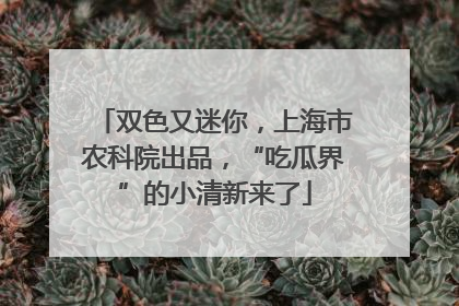 双色又迷你，上海市农科院出品，“吃瓜界”的小清新来了