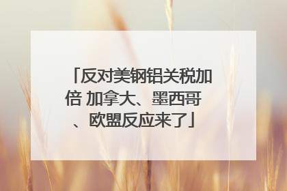 反对美钢铝关税加倍 加拿大、墨西哥、欧盟反应来了