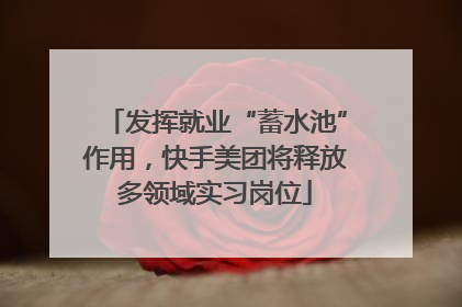 发挥就业“蓄水池”作用，快手美团将释放多领域实习岗位