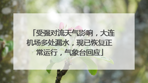 受强对流天气影响，大连机场多处漏水，现已恢复正常运行，气象台回应