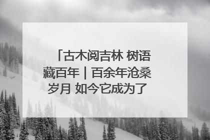 古木阅吉林 树语藏百年｜百余年沧桑岁月 如今它成为了“镇园之宝”