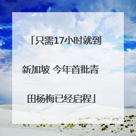 只需17小时就到新加坡 今年首批青田杨梅已经启程