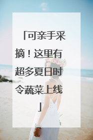 可亲手采摘！这里有超多夏日时令蔬菜上线