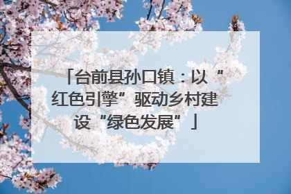 台前县孙口镇：以“红色引擎”驱动乡村建设“绿色发展”