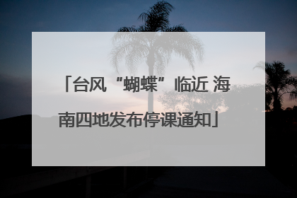 台风“蝴蝶”临近 海南四地发布停课通知