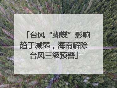 台风“蝴蝶”影响趋于减弱，海南解除台风三级预警