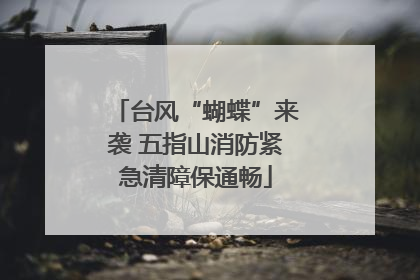 台风“蝴蝶”来袭 五指山消防紧急清障保通畅