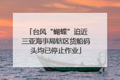 台风“蝴蝶”迫近 三亚海事局辖区货船码头均已停止作业