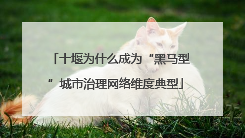 十堰为什么成为“黑马型”城市治理网络维度典型