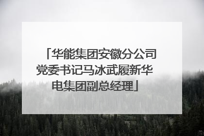 华能集团安徽分公司党委书记马冰武履新华电集团副总经理