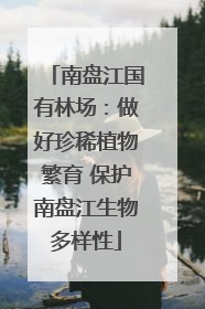 南盘江国有林场：做好珍稀植物繁育 保护南盘江生物多样性