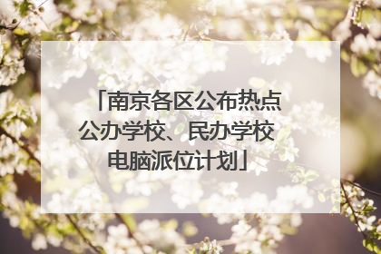 南京各区公布热点公办学校、民办学校电脑派位计划