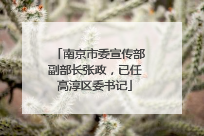 南京市委宣传部副部长张政，已任高淳区委书记