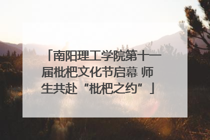 南阳理工学院第十一届枇杷文化节启幕 师生共赴“枇杷之约”