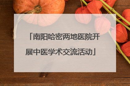 南阳哈密两地医院开展中医学术交流活动