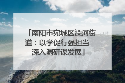 南阳市宛城区溧河街道：以学促行强担当 深入调研谋发展
