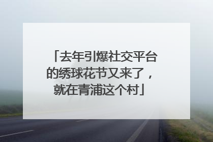 去年引爆社交平台的绣球花节又来了，就在青浦这个村