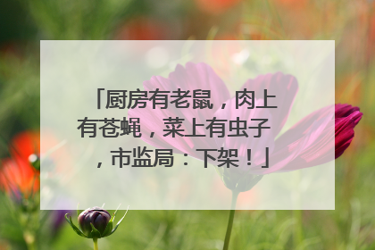 厨房有老鼠，肉上有苍蝇，菜上有虫子，市监局：下架！
