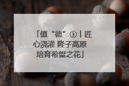 值“德”③丨匠心浇灌 隆子高原培育希望之花
