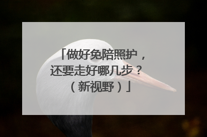 做好免陪照护，还要走好哪几步？（新视野）