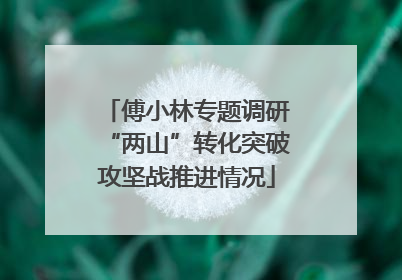 傅小林专题调研“两山”转化突破攻坚战推进情况