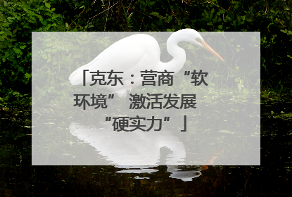 克东：营商“软环境” 激活发展“硬实力”
