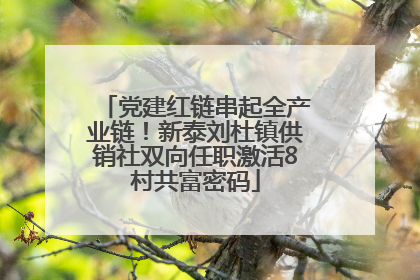 党建红链串起全产业链！新泰刘杜镇供销社双向任职激活8村共富密码