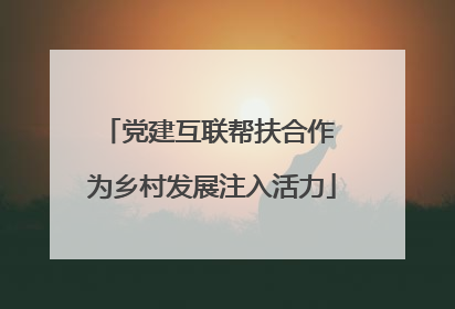 党建互联帮扶合作 为乡村发展注入活力