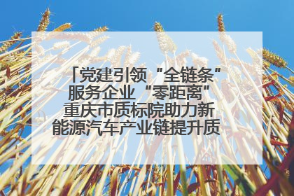 党建引领“全链条” 服务企业“零距离” 重庆市质标院助力新能源汽车产业链提升质量管理水平