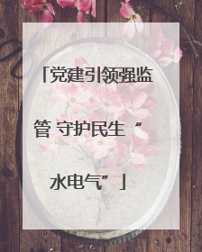 党建引领强监管 守护民生“水电气”