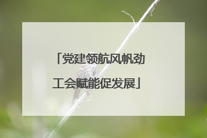 党建领航风帆劲 工会赋能促发展