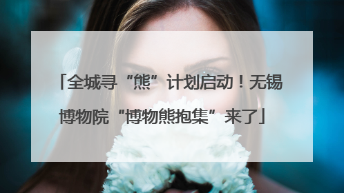 全城寻“熊”计划启动！无锡博物院“博物熊抱集”来了