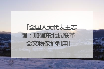 全国人大代表王志强：加强东北抗联革命文物保护利用
