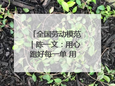 全国劳动模范｜陈一文：用心跑好每一单 用爱回馈这座城
