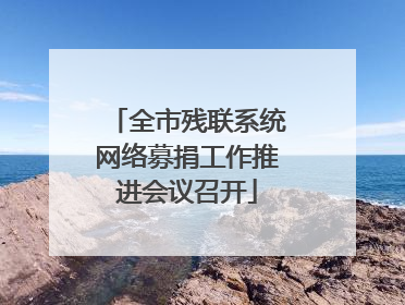 全市残联系统网络募捐工作推进会议召开