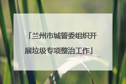 兰州市城管委组织开展垃圾专项整治工作