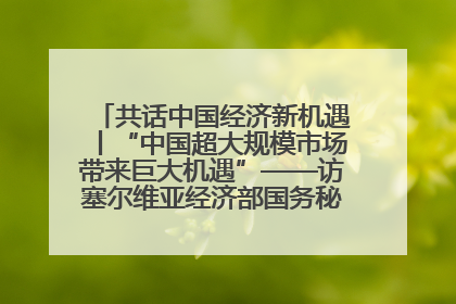 共话中国经济新机遇丨“中国超大规模市场带来巨大机遇”——访塞尔维亚经济部国务秘书尼科利奇