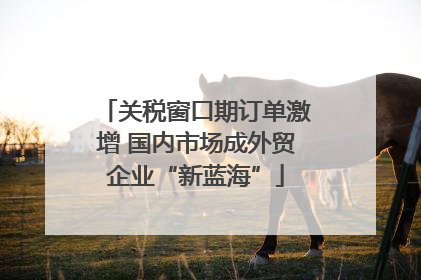 关税窗口期订单激增 国内市场成外贸企业“新蓝海”