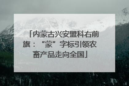 内蒙古兴安盟科右前旗：“蒙”字标引领农畜产品走向全国