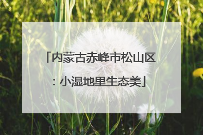 内蒙古赤峰市松山区：小湿地里生态美
