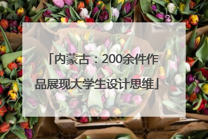 内蒙古：200余件作品展现大学生设计思维