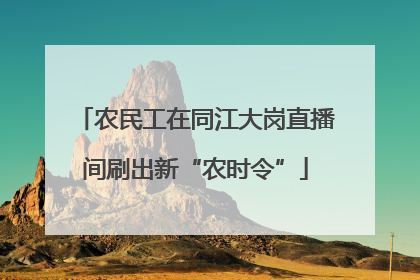 农民工在同江大岗直播间刷出新“农时令”